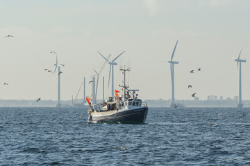Fishing boat surrounded by seagulls - obrazy, fototapety, plakaty