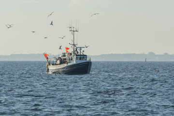 Fototapeta na wymiar Fishing boat surrounded by seagulls