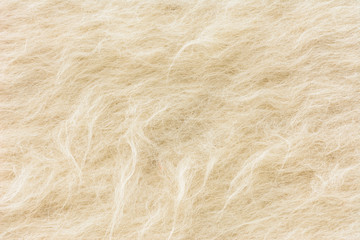White wool texture background, Natural fluffy fur sheep wool skin texture.