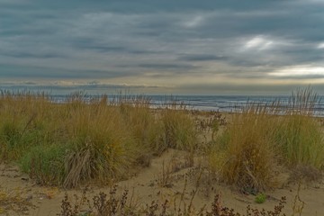 The Beach