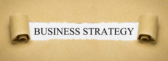 Business Strategy