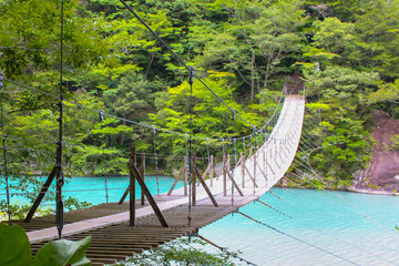 静岡県の夢の吊り橋
