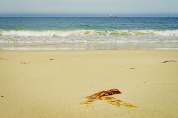 Fototapeta na wymiar Seascape sandy beach with lighthouse on horizon