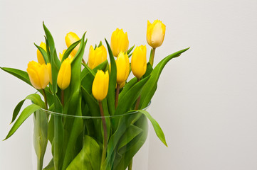 Yellow tulips in glass jar home decoration Easter concept