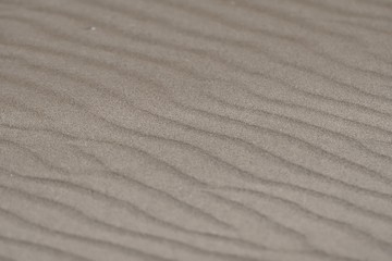 ripples in the sand