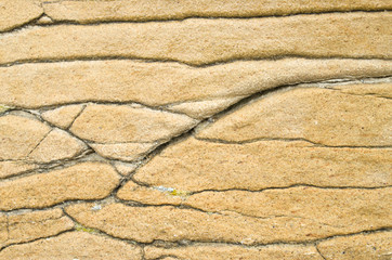 Yellow cracked sandstone on the beach