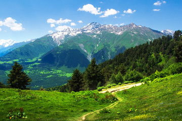 Fototapeta na wymiar Svaneti mountains, Georgia. Caucasus georgian landscape. Green mountain valley.