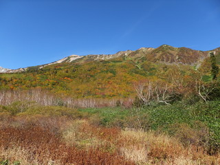 栂池高原