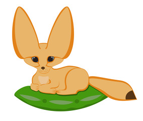 Fennec fox is lying on the  pillow