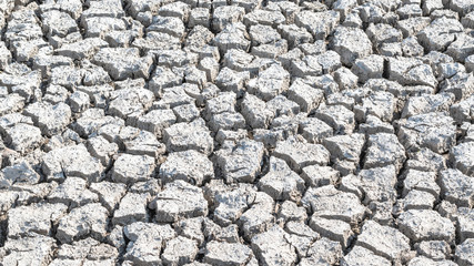 Drought and desertification of dry waterless land, cracked mud, arid ground soil for environmental catastrophe awareness background 