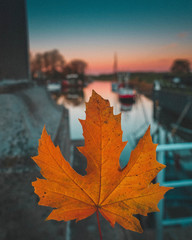herbst am hafen