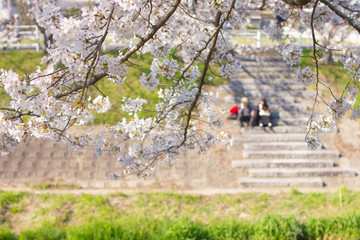 奈良県奈良市佐保川でデートするカップル