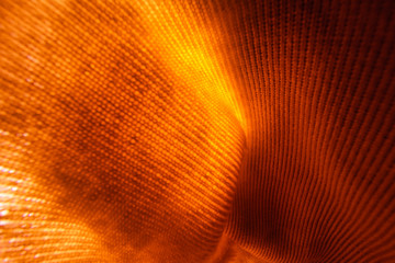 Bright striped orange abstract fabric background