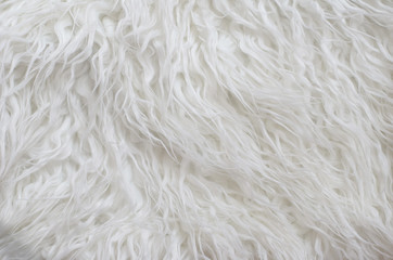 Close up white fluffy fur texture background