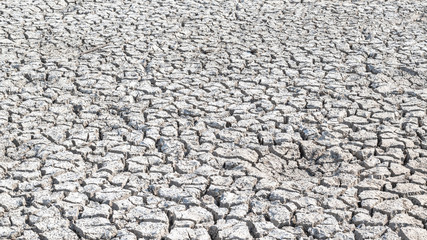 Drought and desertification of dry waterless land, cracked mud, arid ground soil for environmental catastrophe awareness background 