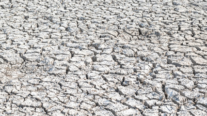 Drought and desertification of dry waterless land, cracked mud, arid ground soil for environmental catastrophe awareness background 