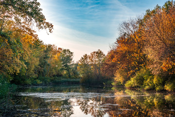 Autumn landscape trees with yellow leaves along the river and reflections in the water