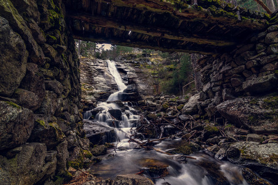 Bajo el puente