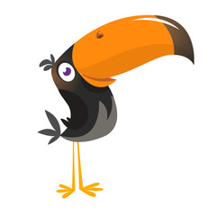 Funny toucan bird cartoon. Vector illustration.  © drawkman