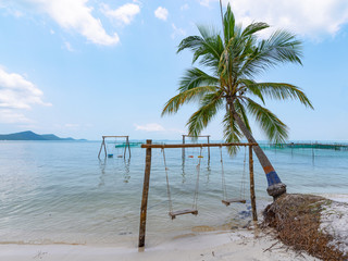 The swings near palmtree on the sea beach