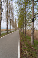 Insel Reichenau im Bodensee 