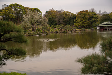 KIYOSUMI TEIEN garden in TOKYO,JAPAN. Spring