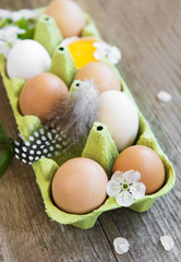 Chicken eggs in tray