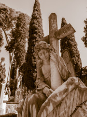 More than 100 years old statue. Cemetery located in Rome.