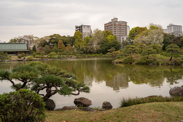 KIYOSUMI TEIEN garden in TOKYO,JAPAN. Spring
