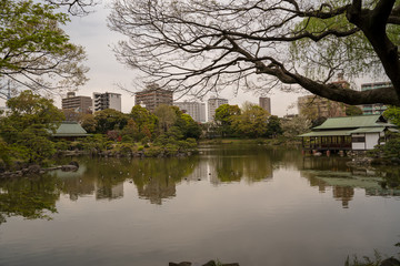 KIYOSUMI TEIEN garden in TOKYO,JAPAN. Spring