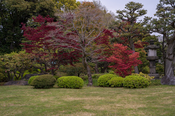 KIYOSUMI TEIEN garden in TOKYO,JAPAN. Spring