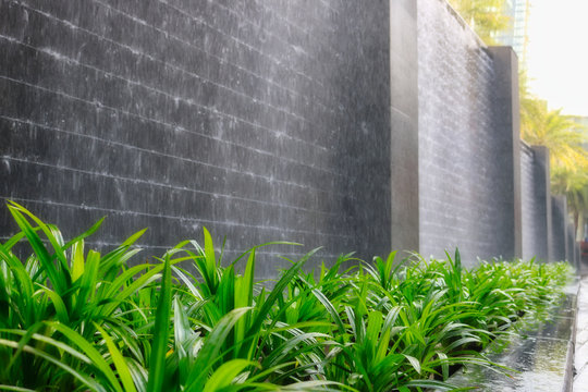 Dieses einzigartige Bild zeigt schöne Grünpflanzen vor einer Wasserwand mit Steinen. Dieses Foto wurde in Bangkok Thailand aufgenommen © Jonny Belvedere