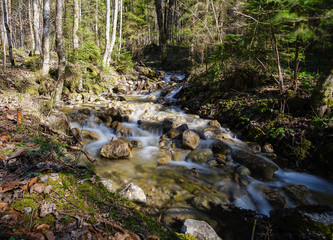 Creek in the forest near Königssee