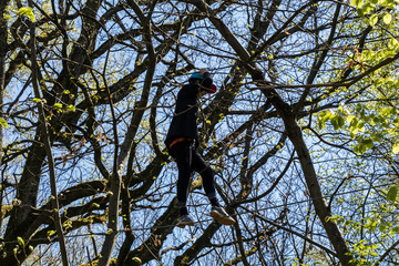 Parcours d'Accrobranche en forêt avec personne en action