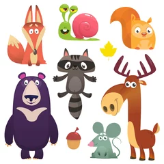 Fotobehang Cartoon forest animals set. Flat vector illustrations design. Squirrel, snail, raccoon, mouse, fox,deer or moose, bear © drawkman