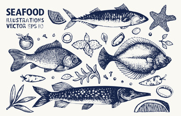 Fishes and spices vector set. Vintage hand drawn seafood illustrations. Can be use for restaurants menu, cover, packaging. Retro background. - obrazy, fototapety, plakaty