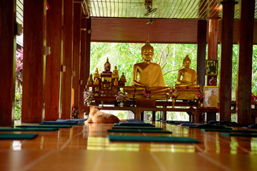 Vipassana in a Buddhist monastery, Thailand, Wat Luang, April 2019