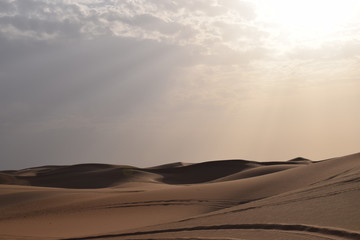 Fototapeta na wymiar Wüste 9
