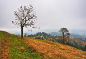 Autumn sunset in the Carpathian village. picturesque evening