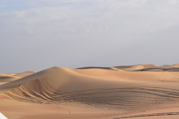 Fototapeta na wymiar Wüste 12