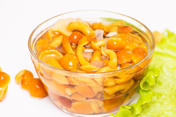 Wild, pickled, marinated mushrooms in bowl close up on white background. Copy text