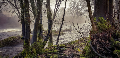 Christmas Mist and Magic in calderdale 