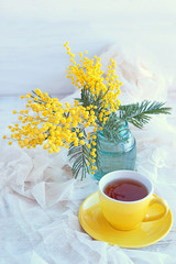 Cup of tea and  bouquet of Mimosa. spring still life. Spring background. composition for Mothers day, 8 March, Easter. selective soft focus