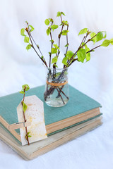 hello spring. young birch green branches and book, beautiful spring still life. concept spring season meeting. soft focus