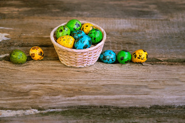 quail eggs in basket on wooden background. Easter holiday, colored eggs, spring season. spring composition, decor for Easter table. happy Easter holiday background. copy space