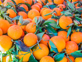 Oranges piled up in a market