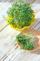 shoots of fresh green salad cress on wooden background. concept of healthy eating. close up, selective soft focus