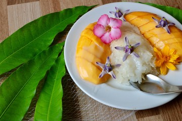 Mango sticky rice dessert