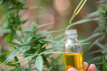 Hemp oil, A woman holding a dropper with an oil product, Cannabis CBD oil.