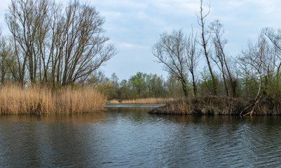 Fototapeta na wymiar Ponds in Wola Rusiecka near Krakow